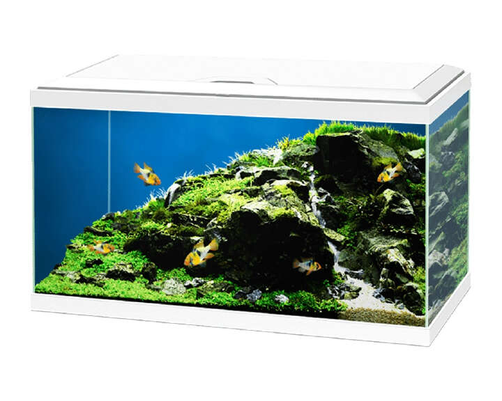 CIANO Aquarium 60